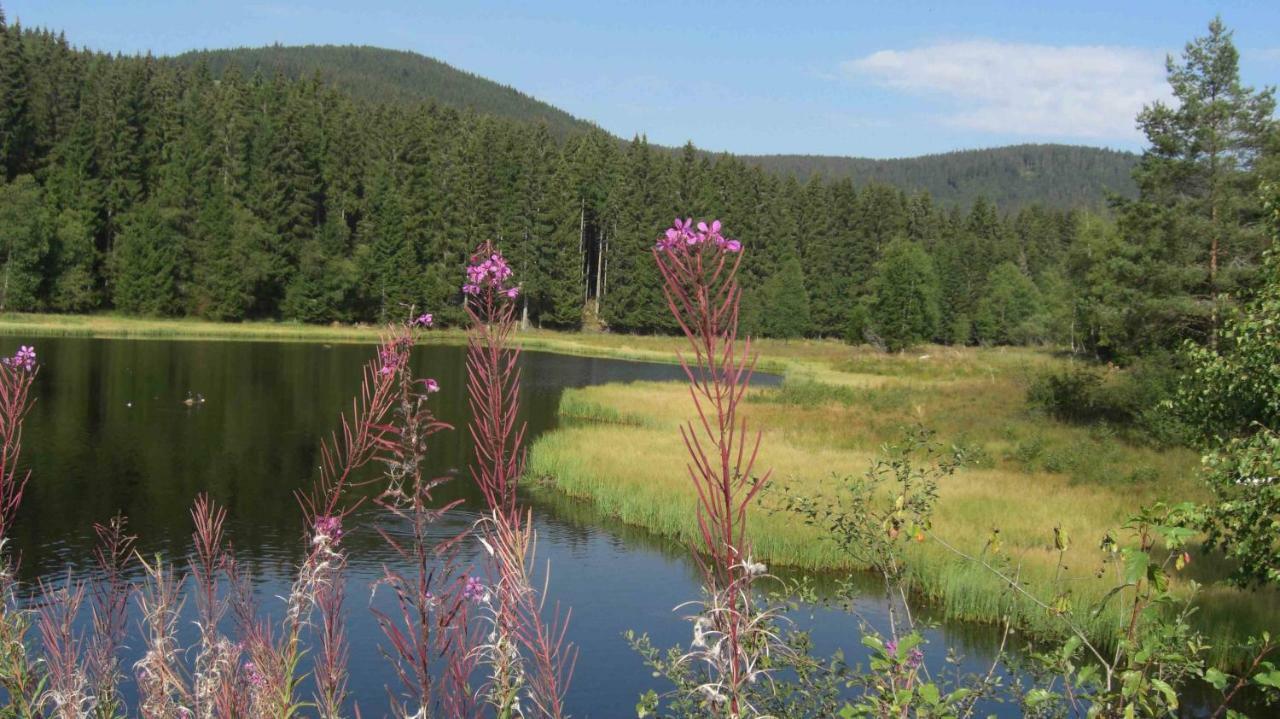 Weitblick "Entspannen - Wohlfuehlen - Aktiv Erholen" Elzach Extérieur photo