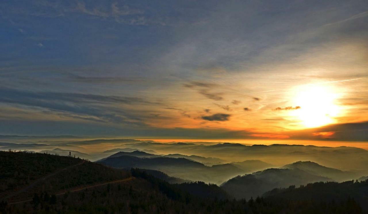 Weitblick "Entspannen - Wohlfuehlen - Aktiv Erholen" Elzach Extérieur photo